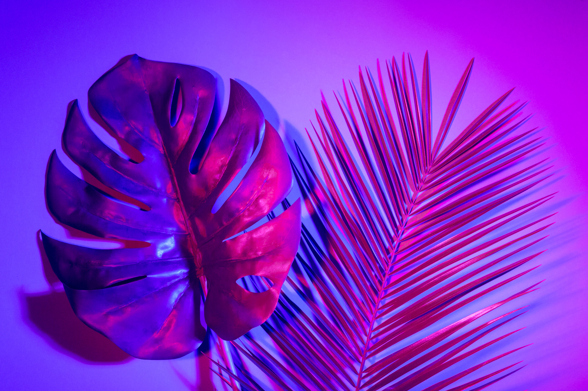 Tropical leaf with neon light. Holographic leaves.